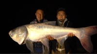 游钓中国 第六季筏钓龙马江 夜获巨型大鲢鳙